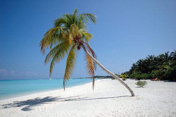 Vivre l'aventure à bord d'un bateau cabine : confort et évasion sur l'eau